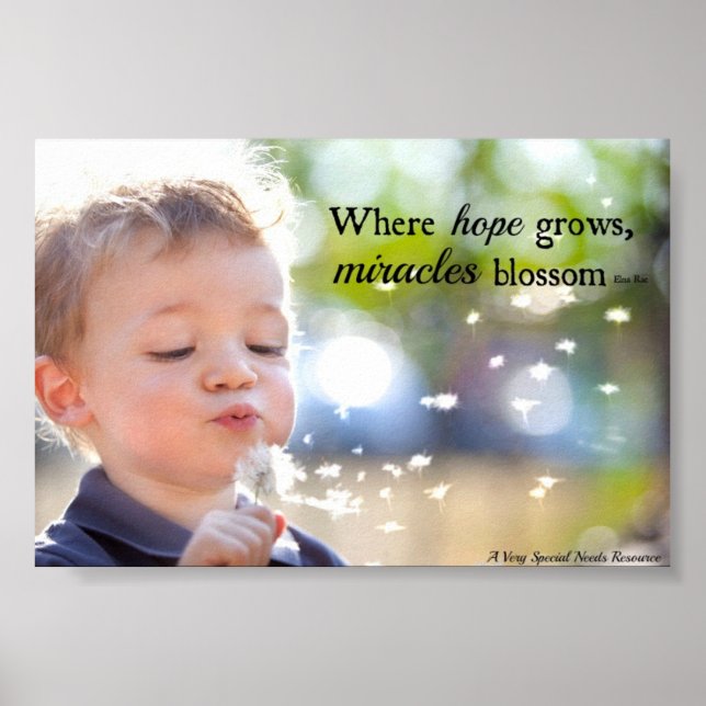 Special Needs Miracles Blossom Poster (Front)