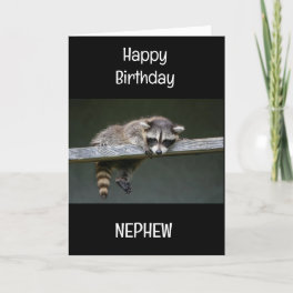 SPECIAL *NEPHEW* ON YOUR BIRTHDAY! CARD