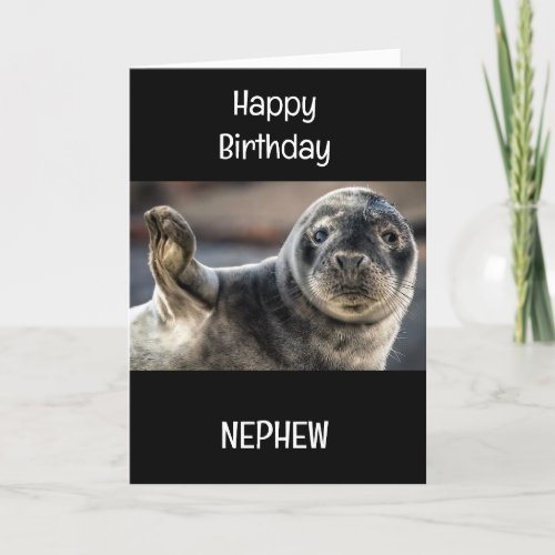 SPECIAL NEPHEW ON YOUR BIRTHDAY CARD