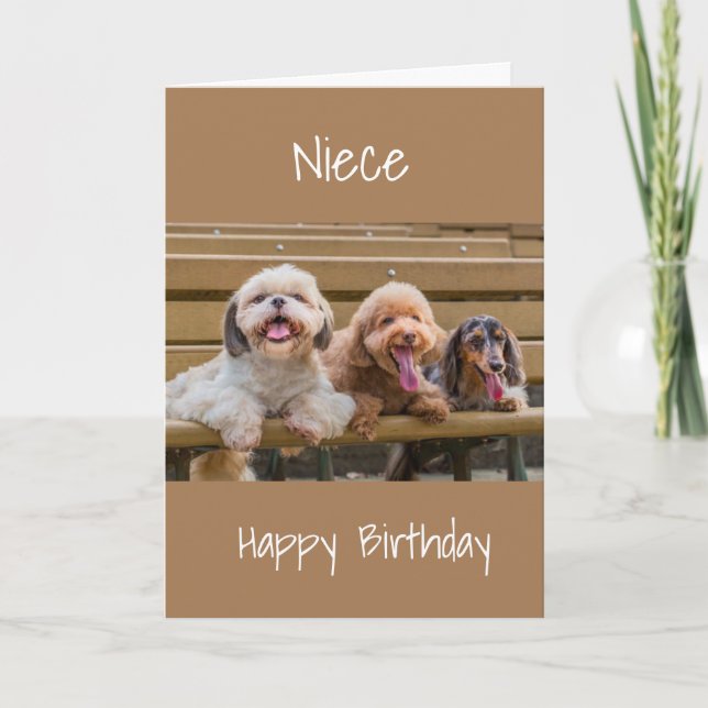 SPECIAL *NIECE* BIRTHDAY CARD (Front)