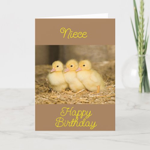 SPECIAL NIECE BIRTHDAY CARD