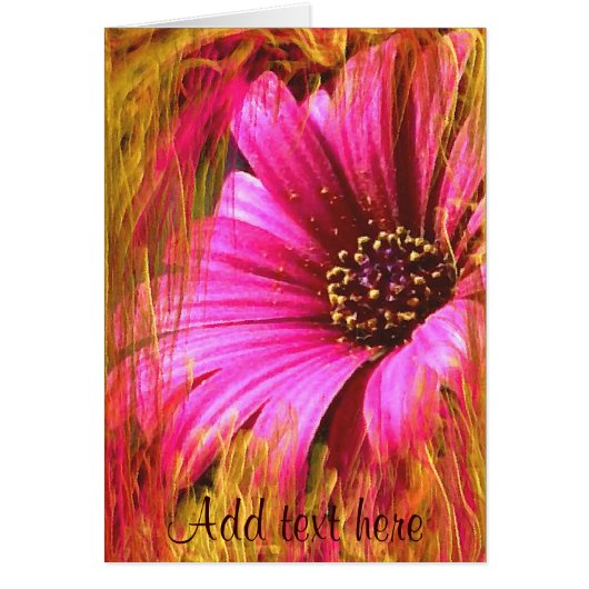 Special occasions_ cards (Front)