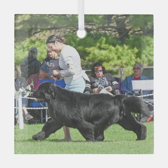 Special Order for Carol B Christmas Glass Ornament (Front)