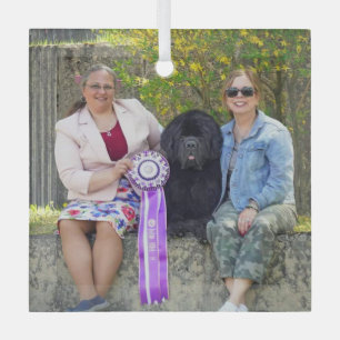 Special Order for Carol B Glass Ornament