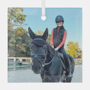 Special Order Horse Glass ornament