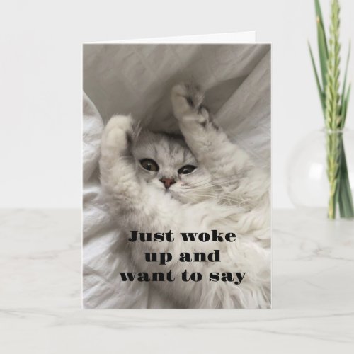 SPECIAL TALKING CAT WITH SPECIAL BIRTHDAY WISH CARD