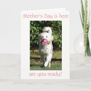 SPECIAL WISH FOR ***MOM*** ON MOTHER'S DAY CARD