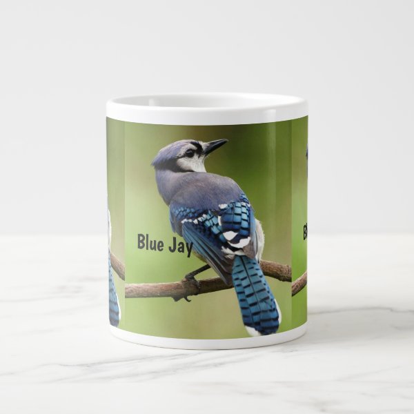 Personalized Blue Jay Gifts on Zazzle