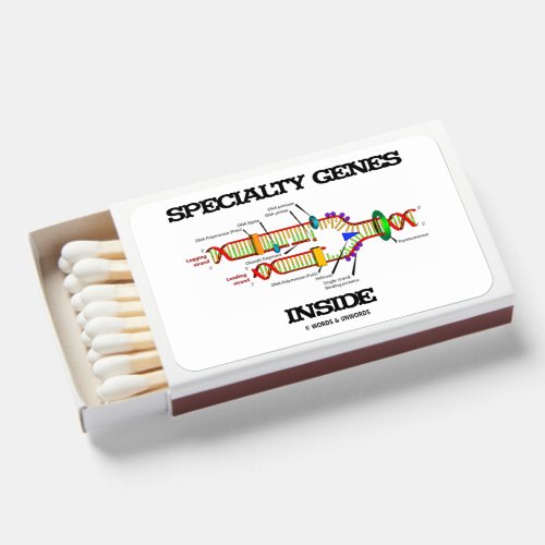 Specialty Genes Inside DNA Replication Matchboxes