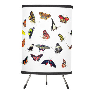 Species of Butterflies Tripod Lamp