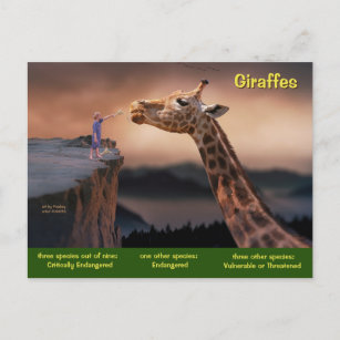 Species of Giraffe are now Endangered - Holiday Postcard