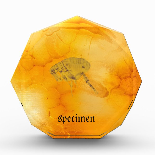 Specimen Acrylic Award (Front)