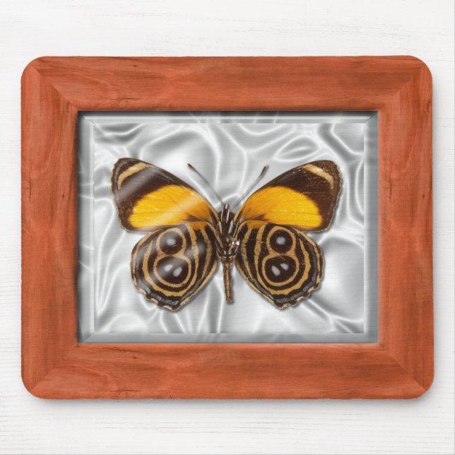 Specimen Box - Butterfly Mouse Pad (Front)