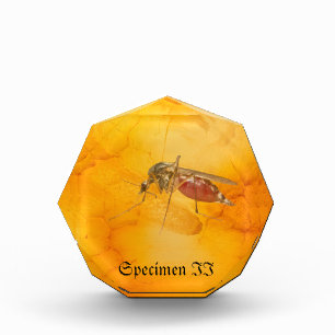 Specimen II Acrylic Award