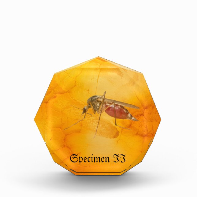 Specimen II Acrylic Award (Front)