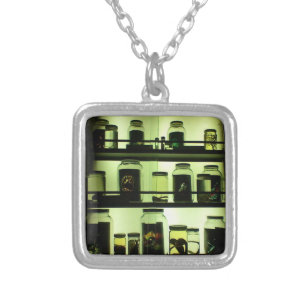 Specimen Necklace