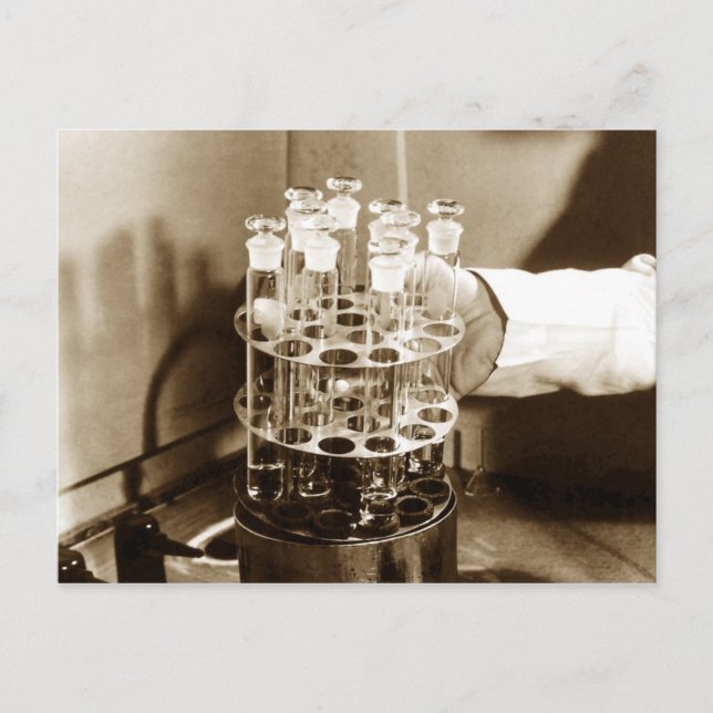 Specimens in glass-stoppered test tubes postcard (Front)