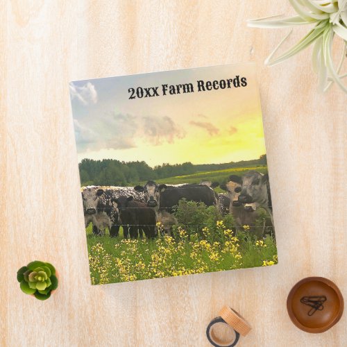 Speckle Park Cattle Under Rain Shower Sunset Sky 3 Ring Binder