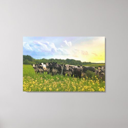 Speckle Park Cattle Under Rain Shower Sunset Sky Canvas Print