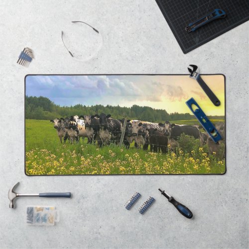 Speckle Park Cattle Under Rain Shower Sunset Sky Desk Mat