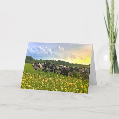 Speckle Park Cattle Under Rain Shower Sunset Sky Thank You Card