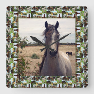 Speckled Arab Horse In Horses Photo Frame, Square Wall Clock