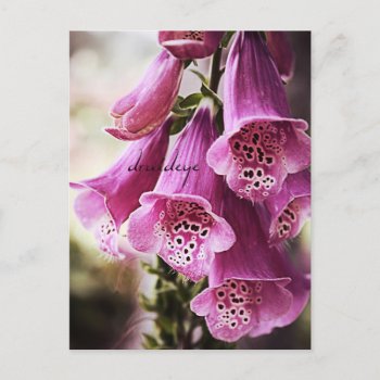 Speckled Bells Flower Postcard by Widdendreams at Zazzle