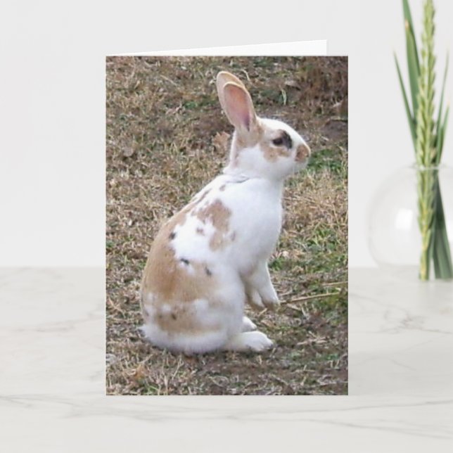 Speckled Bunny Rabbit greeting card (Front)
