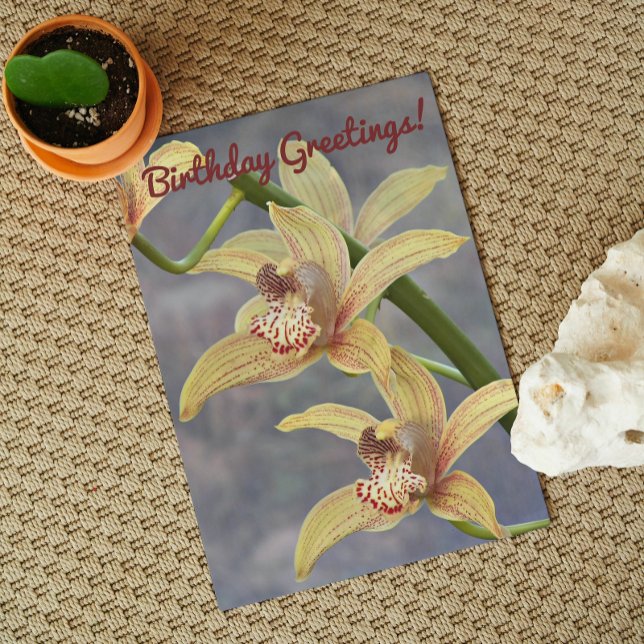 Speckled Cymbidium Orchids Floral Birthday Card (In Situ)