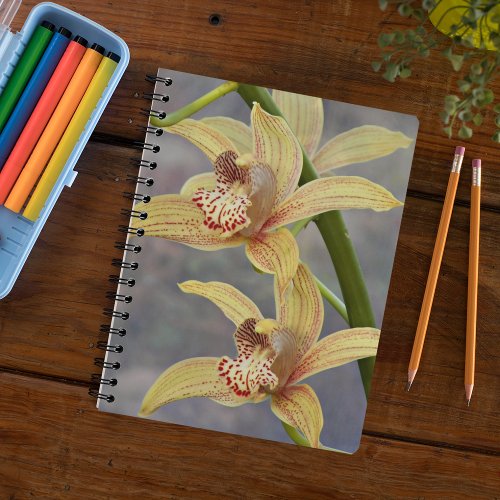 Speckled Cymbidium Orchids Floral Notebook