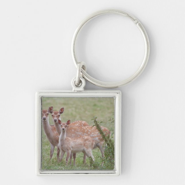 Speckled Deer with Fawn Keychain (Front)