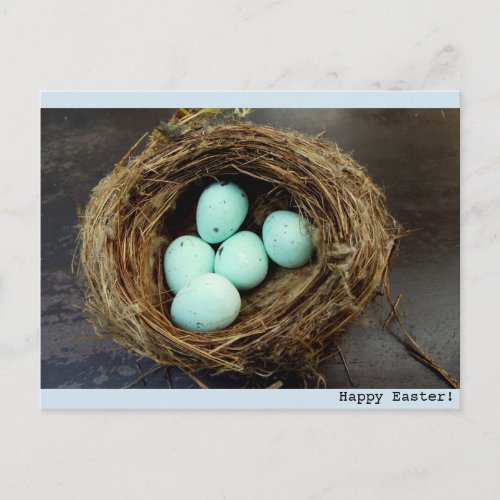 Speckled Easter eggs  real birds nest photograph Holiday Postcard