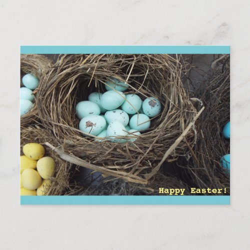 Speckled Easter eggs  real birds nest photograph Holiday Postcard