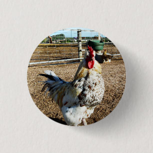Speckled Farm Rooster, Badge Button
