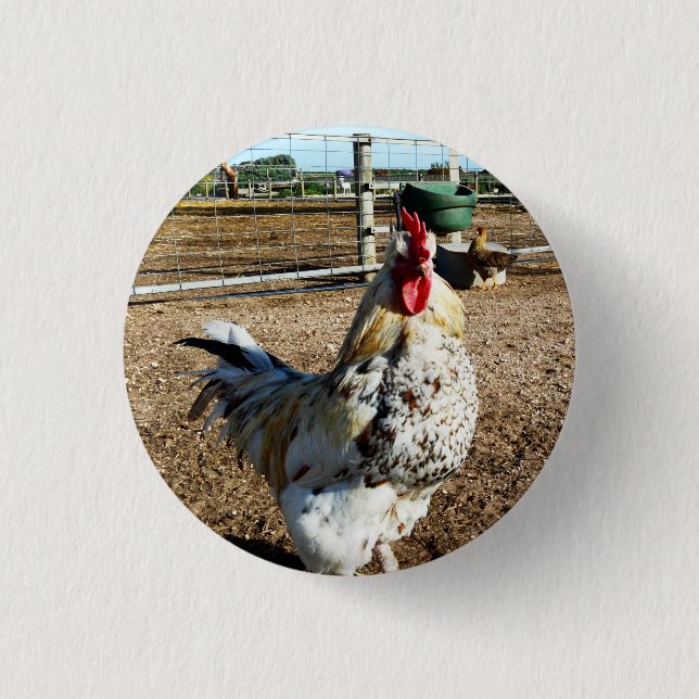 Speckled Farm Rooster, Badge Button (Front)