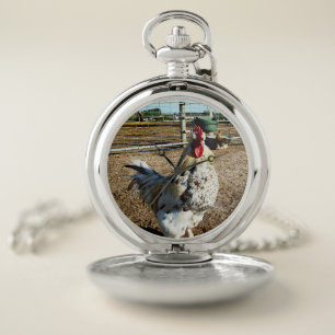 Speckled Rooster On Farm, Pocket Watch 