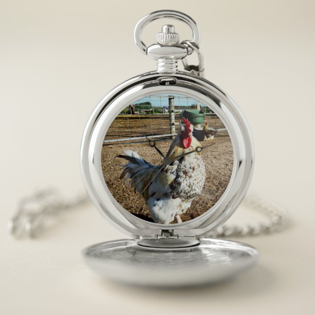 Speckled Rooster On Farm, Pocket Watch  (Inside)