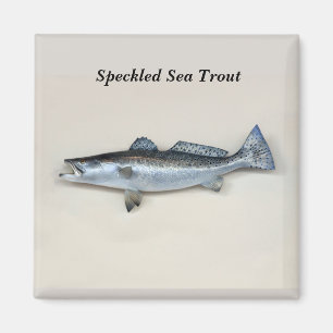 Speckled Sea Trout Magnet