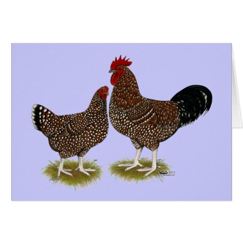 Speckled Sussex Chickens