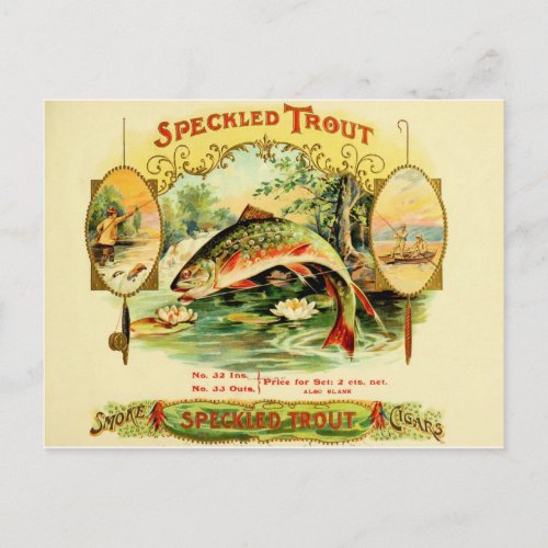 Speckled Trout Cigar Case Postcard
