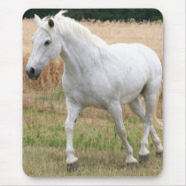 Speckled White Horse Mouse Pad