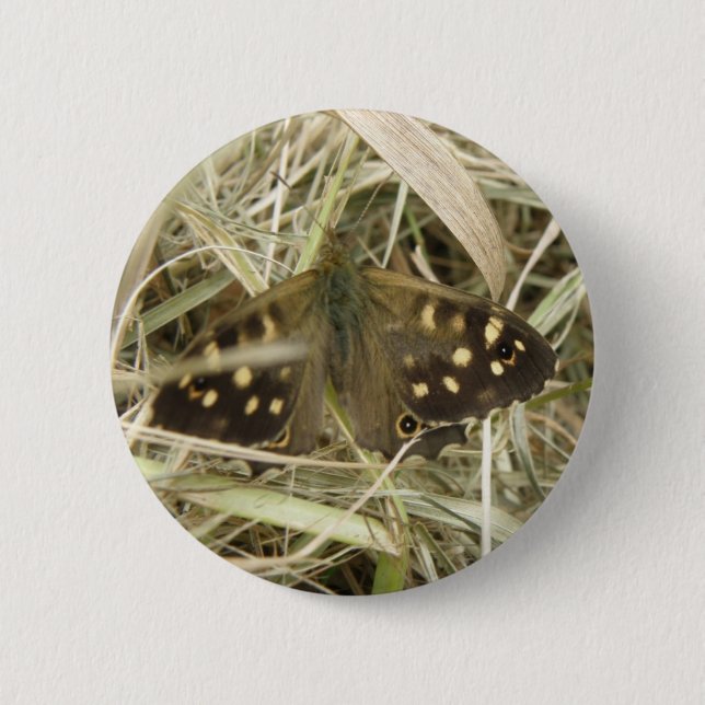 Speckled Wood Butterfly Button (Front)