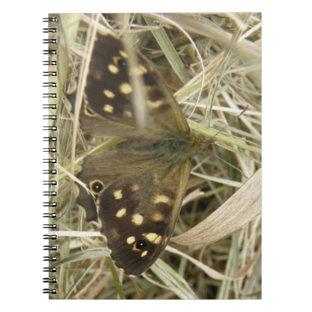 Speckled Wood Butterfly Notebook (Front)