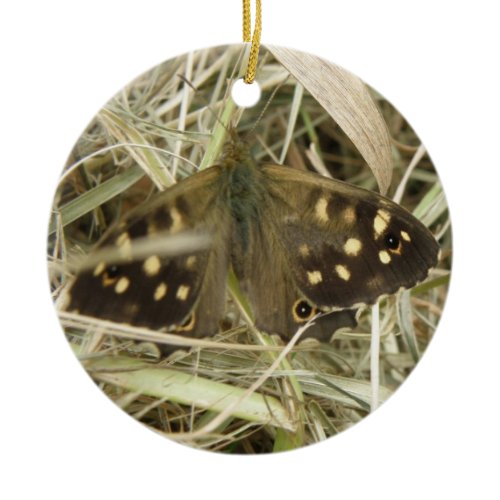 Speckled Wood Butterfly Ornament