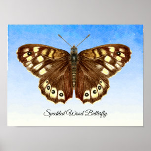 Speckled Wood Butterfly Watercolor Painting Poster