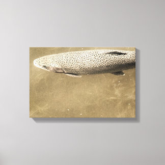 Speckles Canvas Print
