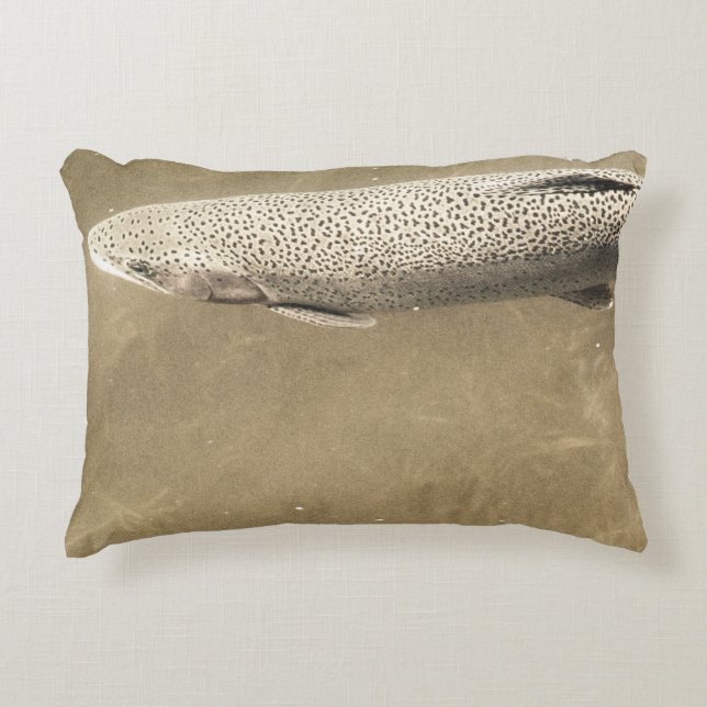 Speckles Decorative Pillow (Front)