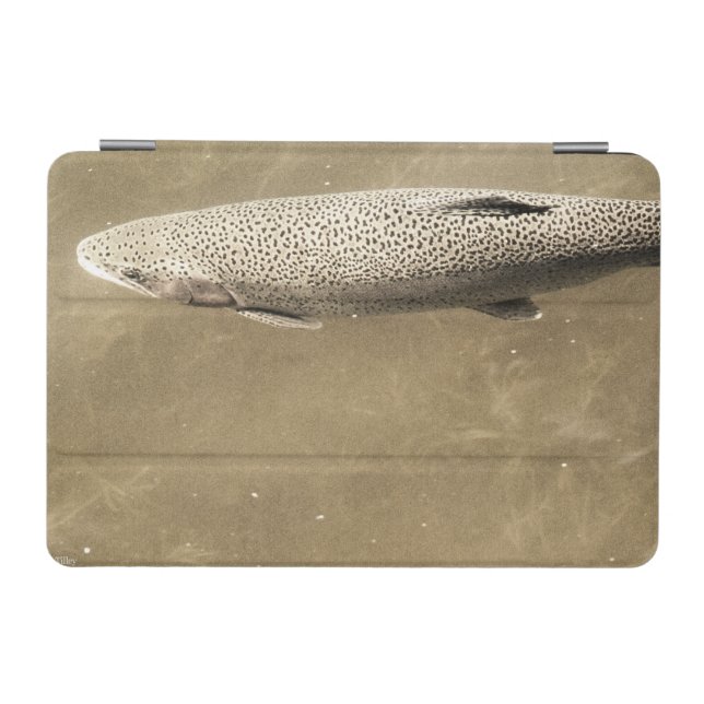 Speckles iPad Mini Cover (Horizontal)