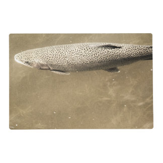 Speckles Placemat
