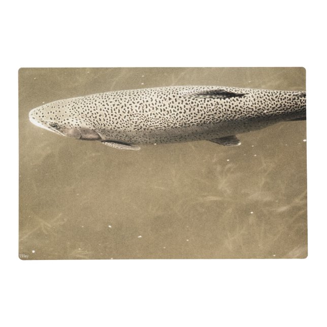 Speckles Placemat (Front)